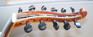 model P1VN44 ES            