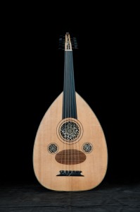 model P1VN44 EH 